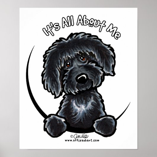 Black Labradodle IAAM Poster (Voorkant)