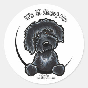 Black Labradodle IAAM Ronde Sticker