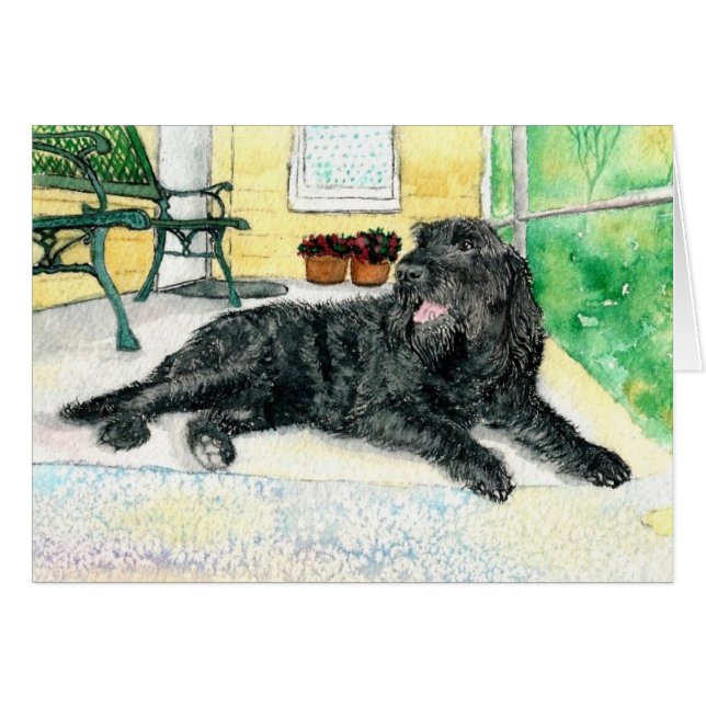 Black Labradoodle (Voorkant Horizontaal)
