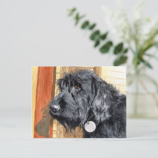 Black Labradoodle #1 Briefkaart (Staand voorkant)