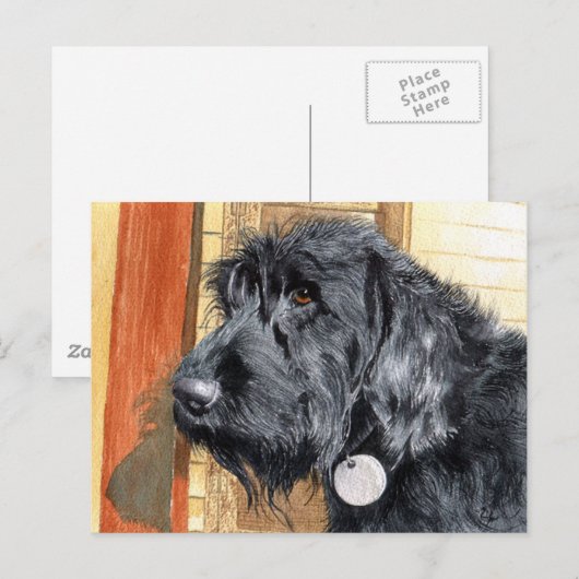 Black Labradoodle #1 Briefkaart (Voorkant / Achterkant)