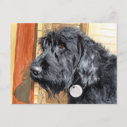 Black Labradoodle #1 Briefkaart (Voorkant)
