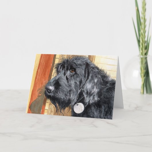 Black Labradoodle #1 Greeting Cards Kaart (Voorkant)