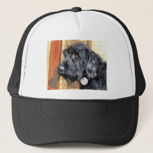 Black Labradoodle #1 Pet