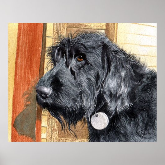 Black Labradoodle #1 Print (Voorkant)