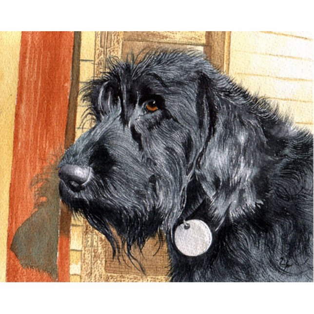 Black Labradoodle #1 Staand Fotobeeldje (Voorkant)