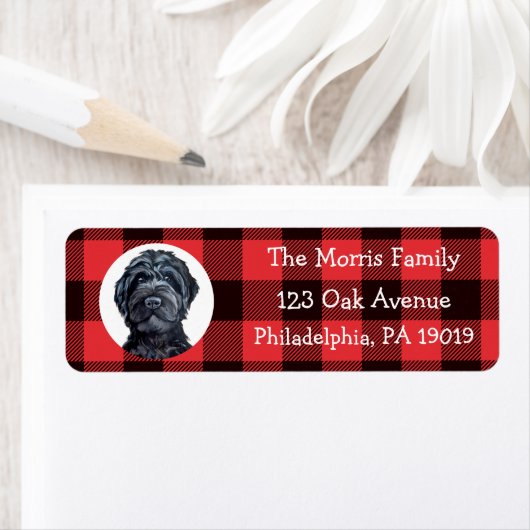 Black Labradoodle/Black Goldendoodle Etiket (Insitu)