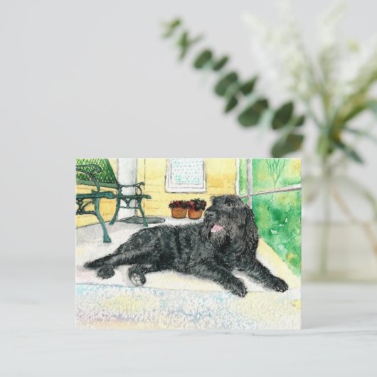 Black Labradoodle Briefkaart (Staand voorkant)