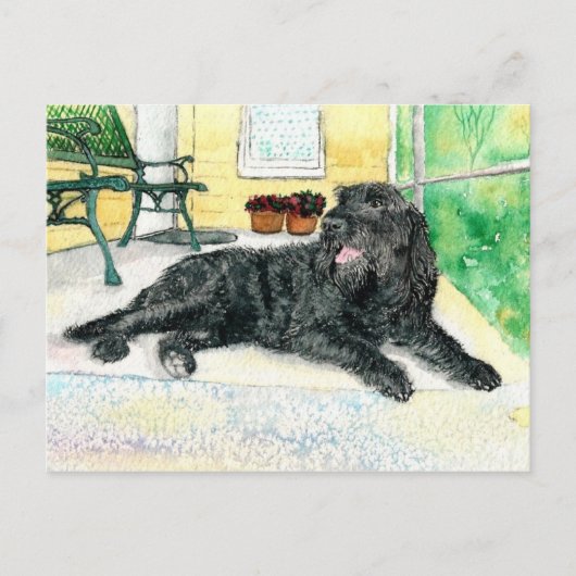 Black Labradoodle Briefkaart (Voorkant)