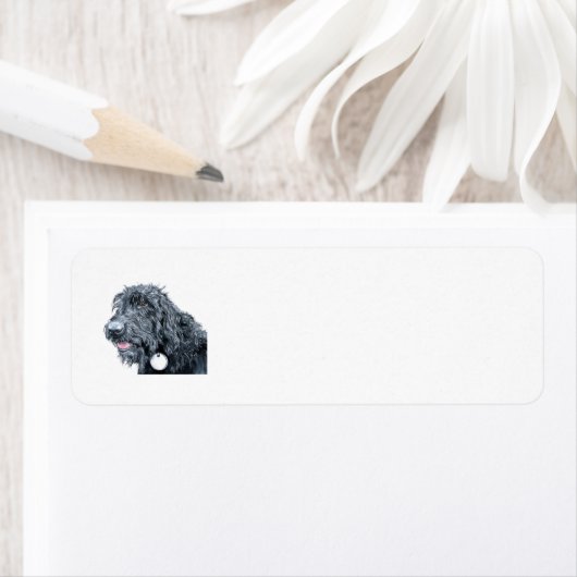 Black Labradoodle Etiket (Insitu)