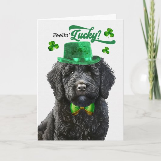 Black Labradoodle Feelin' Lucky St Patrick's Day Feestdagen Kaart (Voorkant)