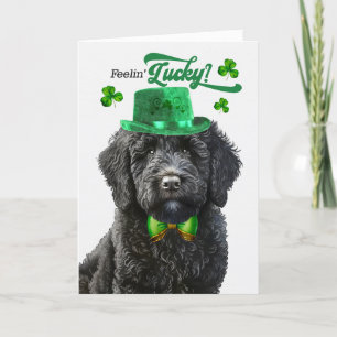 Black Labradoodle Feelin' Lucky St Patrick's Day Feestdagen Kaart