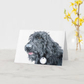 Black Labradoodle Greeting Cards Kaart (Gele Bloem)