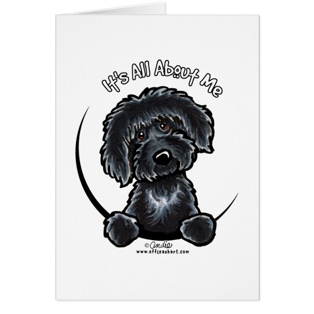 Black Labradoodle IAAM Simple (Voorkant)