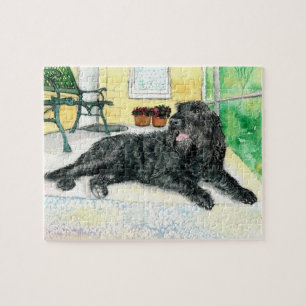 Black Labradoodle Legpuzzel