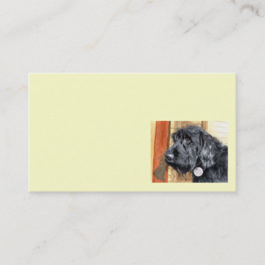 Black Labradoodle Visitekaartjes (Voorkant)