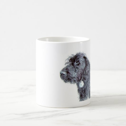 Black Labradoodles Mok (Center)