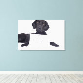 Black Labrador 13 maanden Canvas Afdruk (Insitu (Houten vloer))