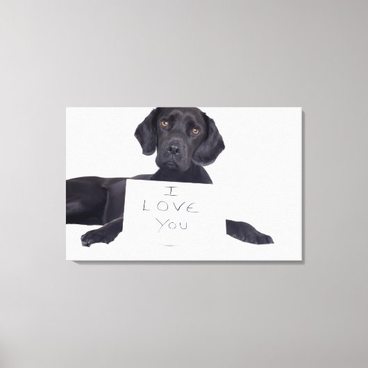 Black Labrador 13 maanden Canvas Afdruk (Voorkant)