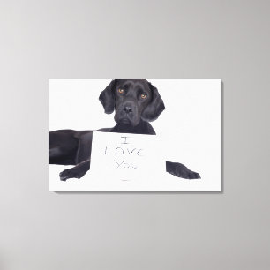 Black Labrador 13 maanden Canvas Afdruk