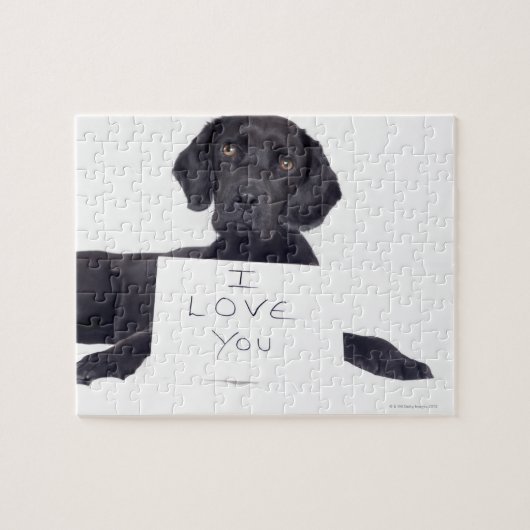Black Labrador 13 maanden Legpuzzel (Horizontaal)