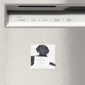 Black Labrador 13 maanden Magneet (Insitu (Vaatwasser))
