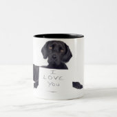 Black Labrador 13 maanden Tweekleurige Koffiemok (Center)