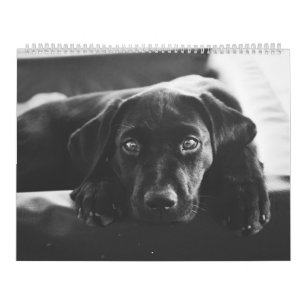 Black Labrador 2018-agenda Kalender