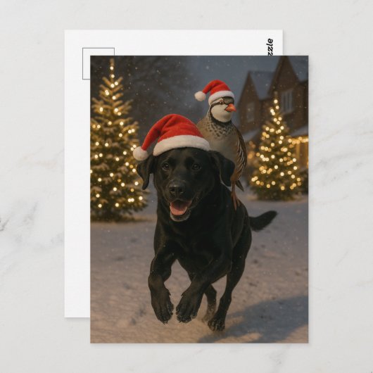 Black Labrador and Partridge Christmas postcard Briefkaart (Voorkant / Achterkant)