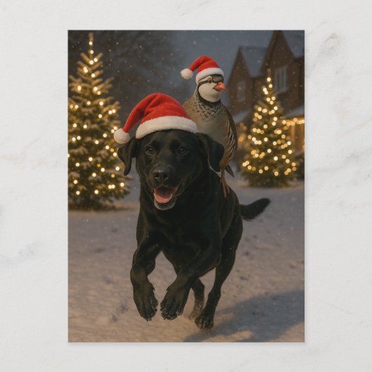 Black Labrador and Partridge Christmas postcard Briefkaart (Voorkant)