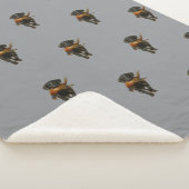 Black Labrador and Pheasant Sherpa Blanket Deken (3/4)