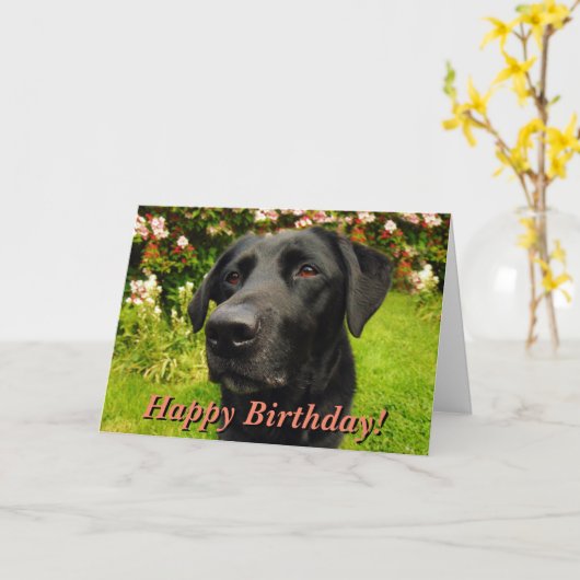 Black labrador birthday card kaart (Gele Bloem)