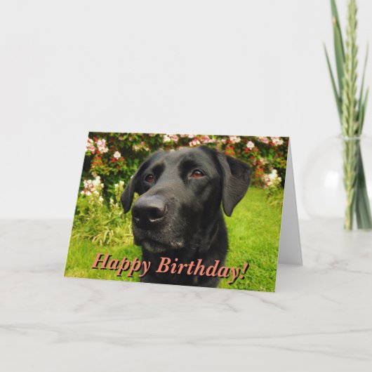 Black labrador birthday card kaart (Voorkant)