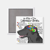 Black Labrador Brain Atlas Magneet (Voorkant / Achterkant)