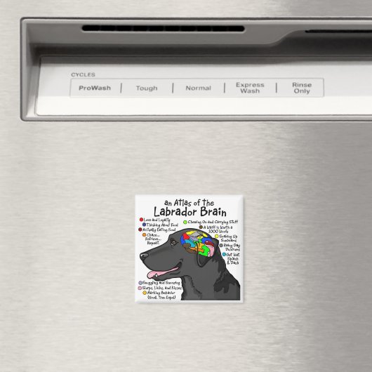 Black Labrador Brain Atlas Magneet (Insitu (Vaatwasser))