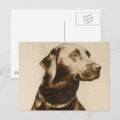 Black Labrador Briefkaart (Voorkant / Achterkant)