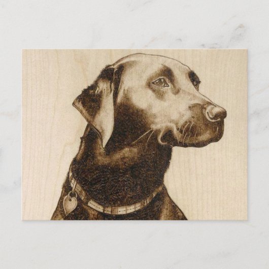 Black Labrador Briefkaart (Voorkant)