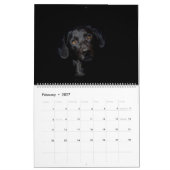 Black Labrador Calendar Kalender (Feb 2027)