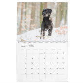 Black Labrador Calendar Kalender (Jan 2026)