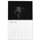 Black Labrador Calendar Kalender (Feb 2026)