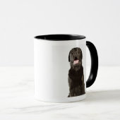 Black Labrador (Canis familiaris), panting, Mok (Voorkant rechts)
