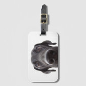 Black Labrador Closeup Portrait Bagagelabel (Voorkant (verticaal))
