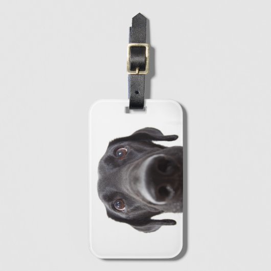 Black Labrador Closeup Portrait Bagagelabel (Voorkant (verticaal))