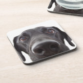 Black Labrador Closeup Portrait Bier Onderzetter (Linkerzijde)