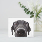 Black Labrador Closeup Portrait Briefkaart (Staand voorkant)