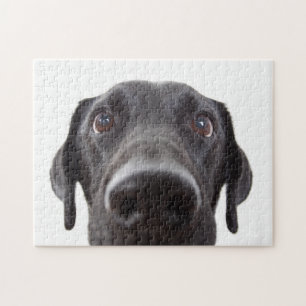 Black Labrador Closeup Portrait Legpuzzel