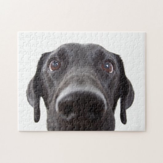 Black Labrador Closeup Portrait Legpuzzel (Horizontaal)