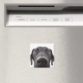 Black Labrador Closeup Portrait Magneet (Insitu (Vaatwasser))
