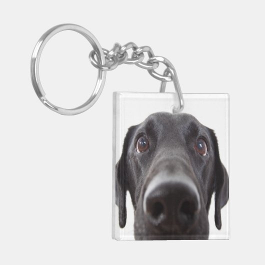 Black Labrador Closeup Portrait Sleutelhanger (Voorkant Links)