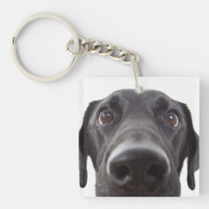 Black Labrador Closeup Portrait Sleutelhanger